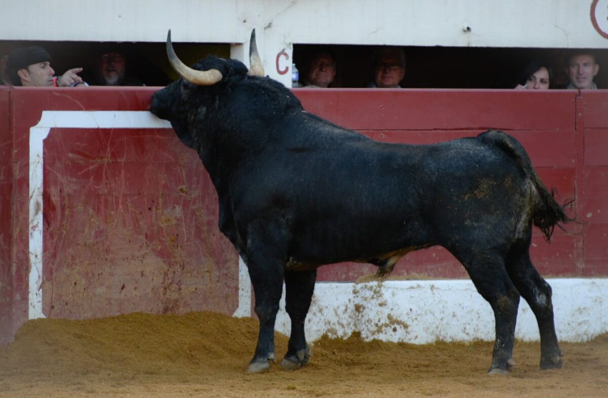 El torismo de Vic-Fezensac ya tiene carteles