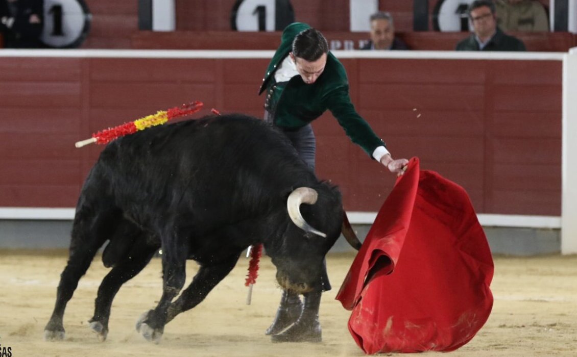 Molina indulta un extraordinario novillo de Domingo Hernández en Albacete