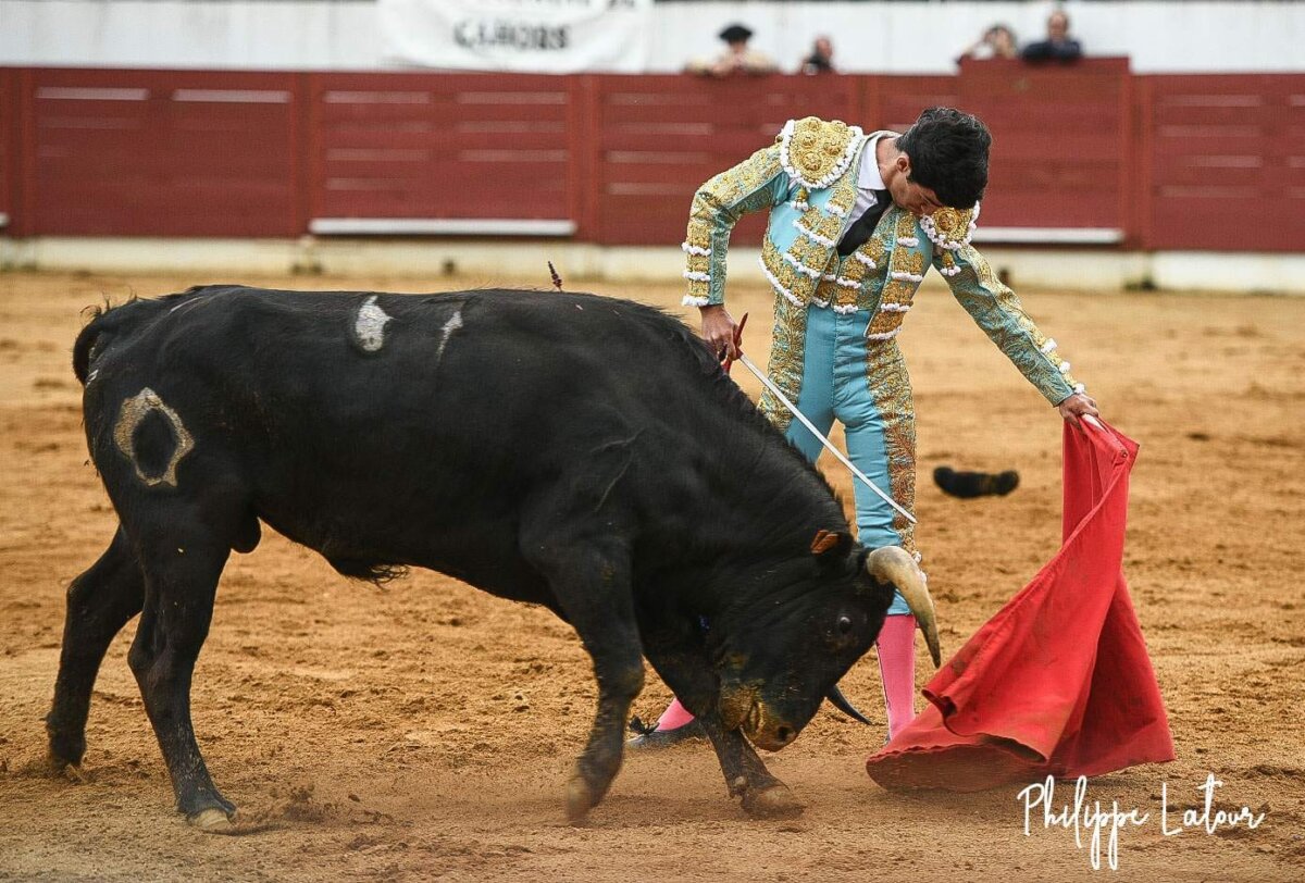 Este es el gran premio que esconde el Bolsín de Bougue para novilleros sin caballos