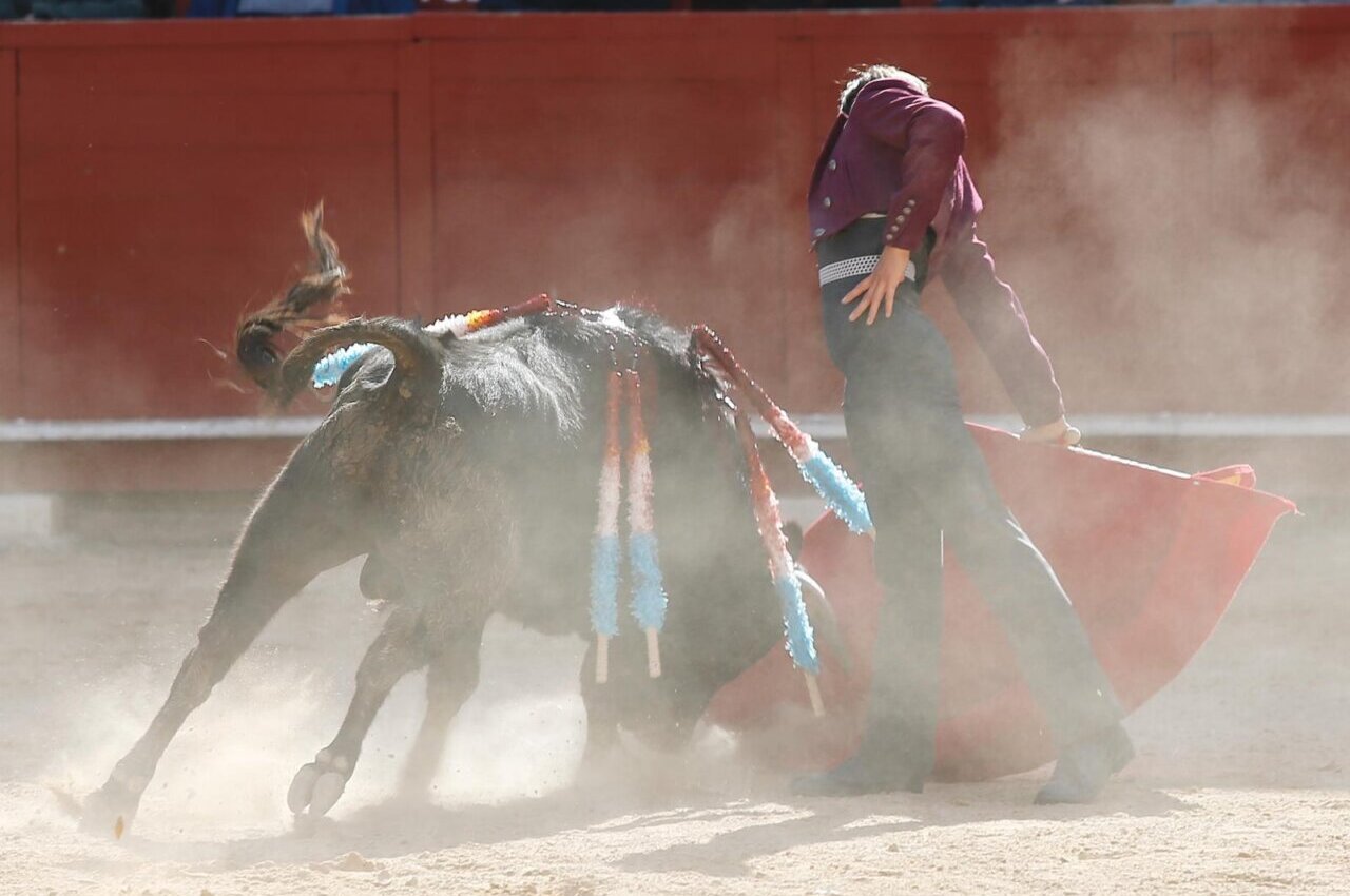 Torear por amor al arte, torear por amor al prójimo