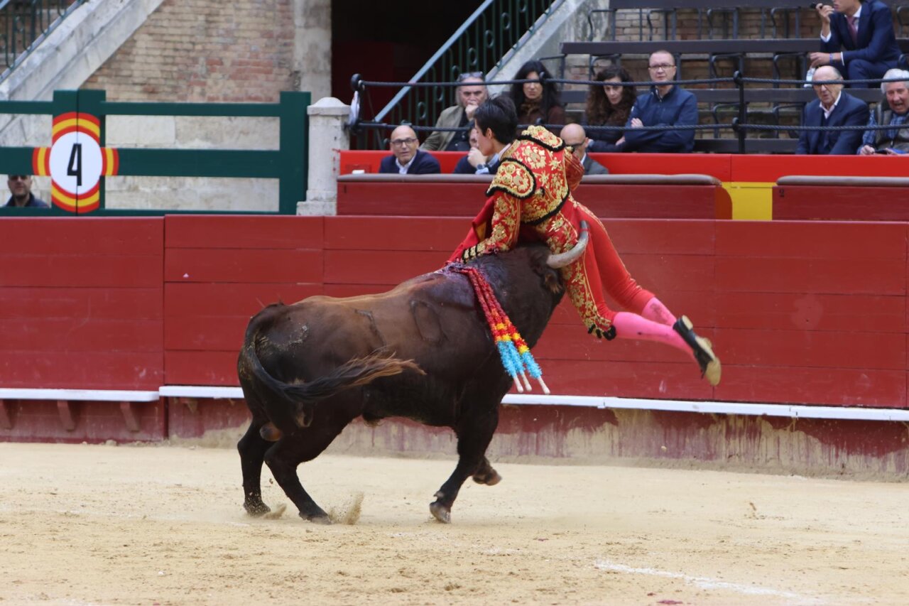 Alberto Donaire, hasta tres cogidas en su reaparición en Valencia