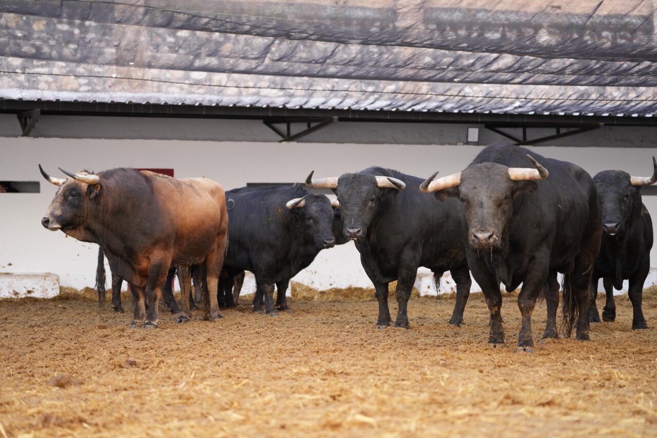 Chicharro, alternativa con Alabardero en Valencia