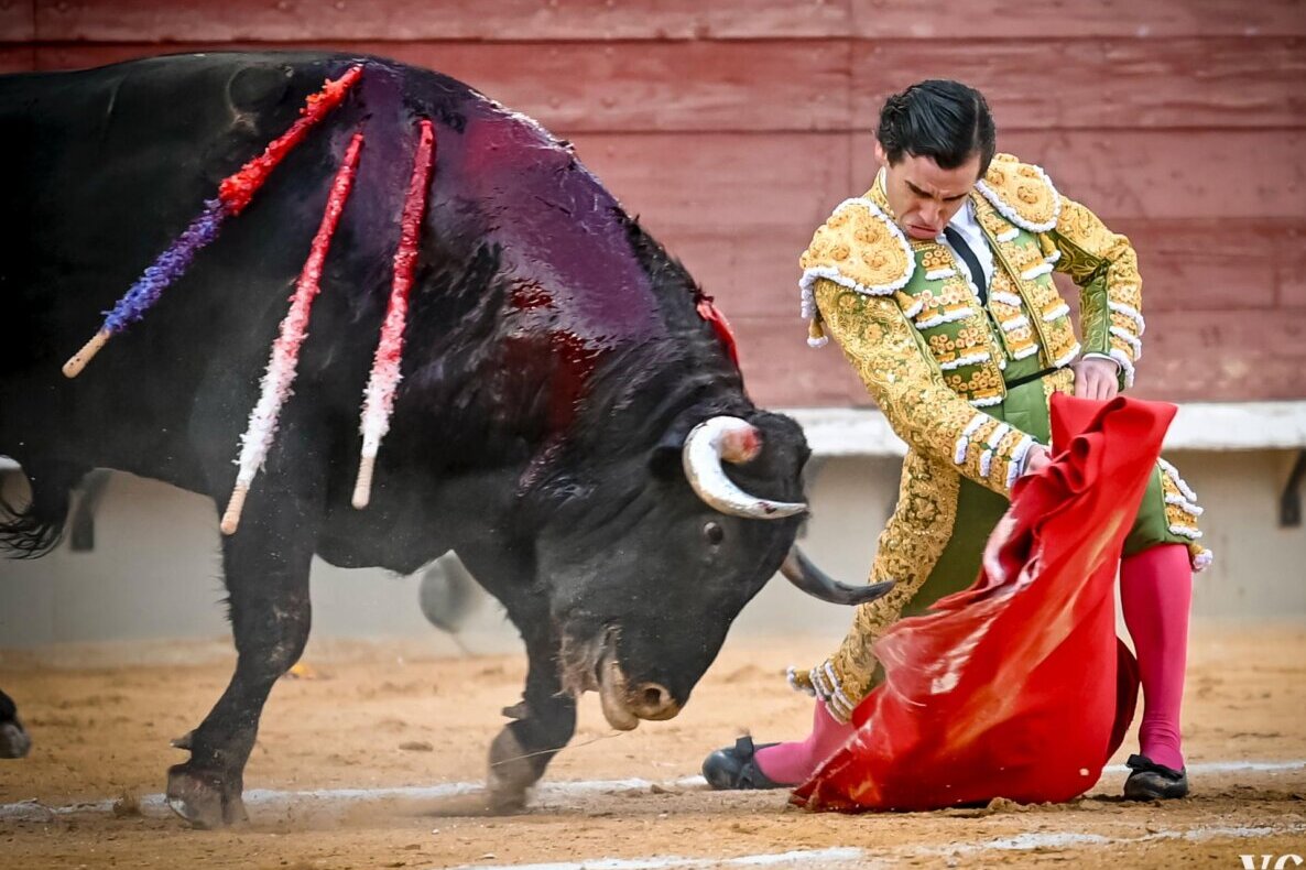 El faenón de puerta grande de Juan Ortega, en vídeo