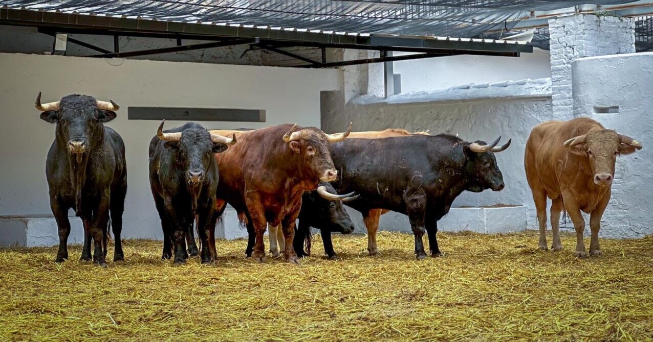Serpertín, de Talavante, abre la feria y la tarde en Valencia