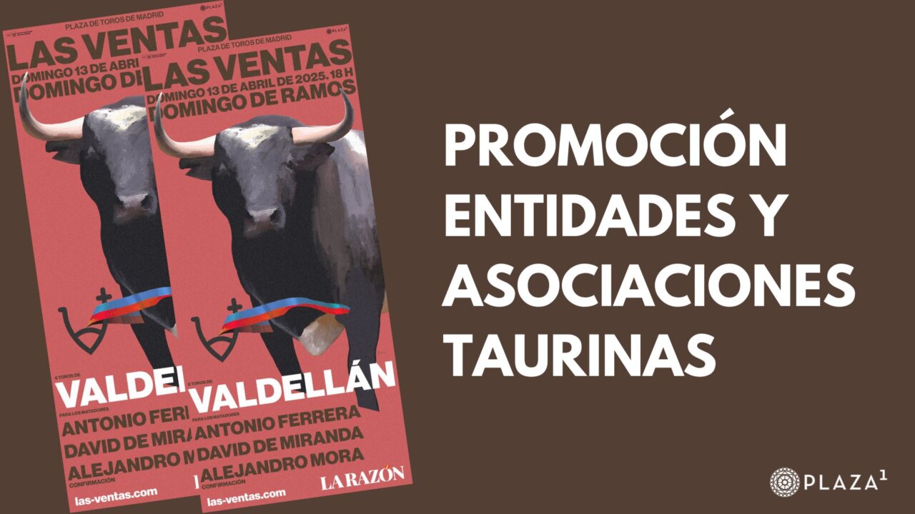 Ventajas exclusivas para asociaciones taurinas que organicen su viaje el Domingo de Ramos