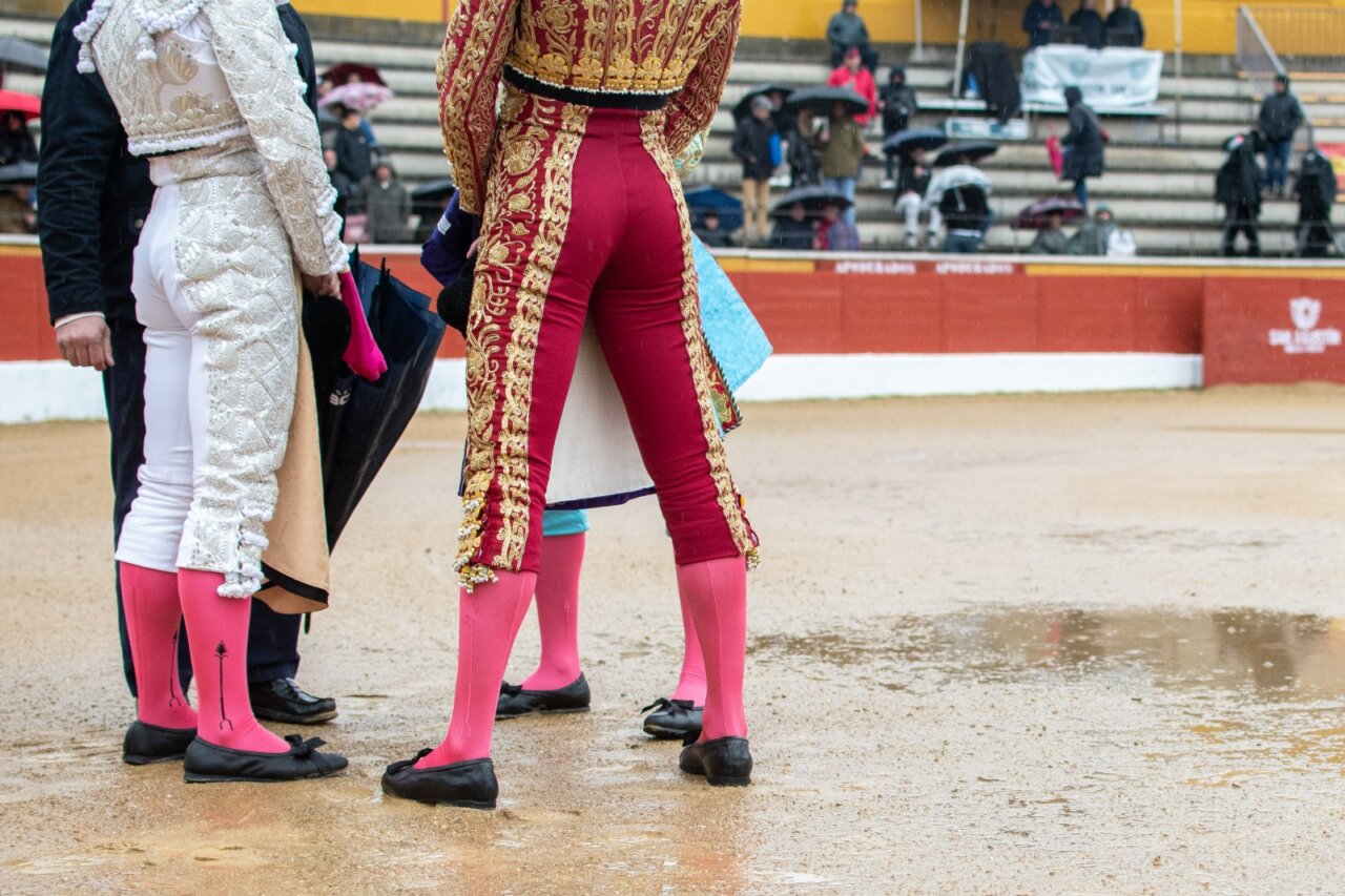 Aplazados los festejos de San Martín de Valdeiglesias y Navas del Rey para este fin de semana