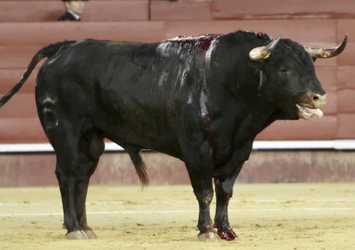El Ateneo de Valencia concederá a Santiago Domecq el Premio Distinción Enrique Mora Guillén