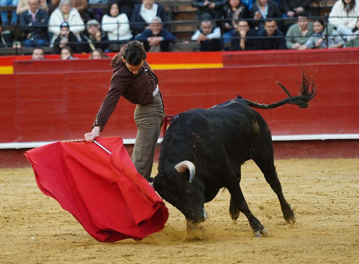 La fuerza adictiva del toro (o el milagro de la fuente)