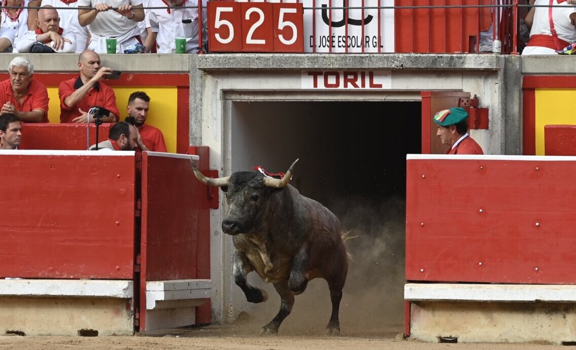 Pamplona repite al cien por cien las ganaderías para los próximos sanfermines