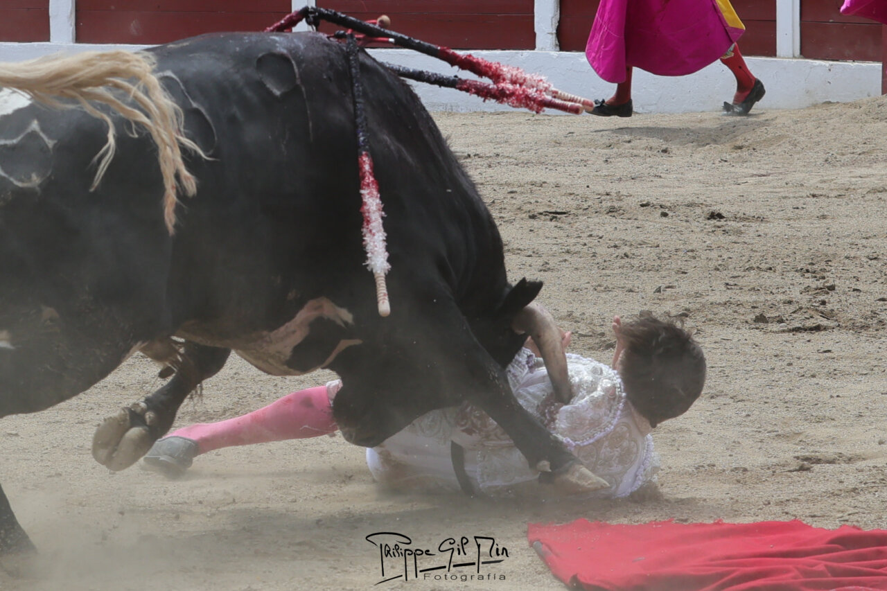 Mario Vilau, operado en Perpiñán de una cornada de tres trayectorias