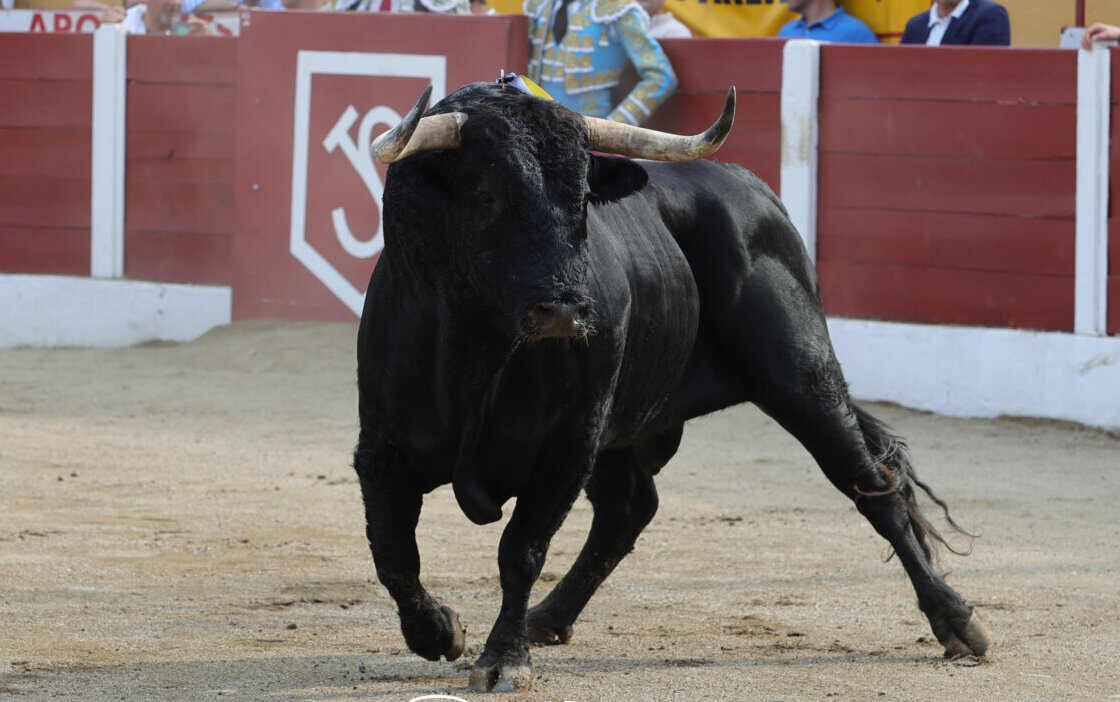 Foto: Phillippe Gil Mir