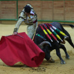 David Gutiérrez, con el sexto de la tarde. Foto: Phillipe Gil Mir