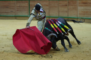 David Gutiérrez, con el sexto de la tarde. Foto: Phillipe Gil Mir