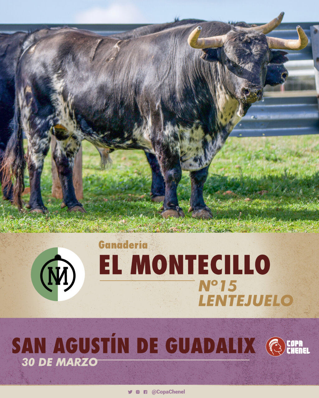 Los toros de Montealto y El Montecillo para San Agustín del Guadalix