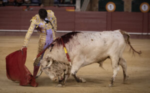 Alejandro Chicharro, el pasado mes de octubre en Valencia.