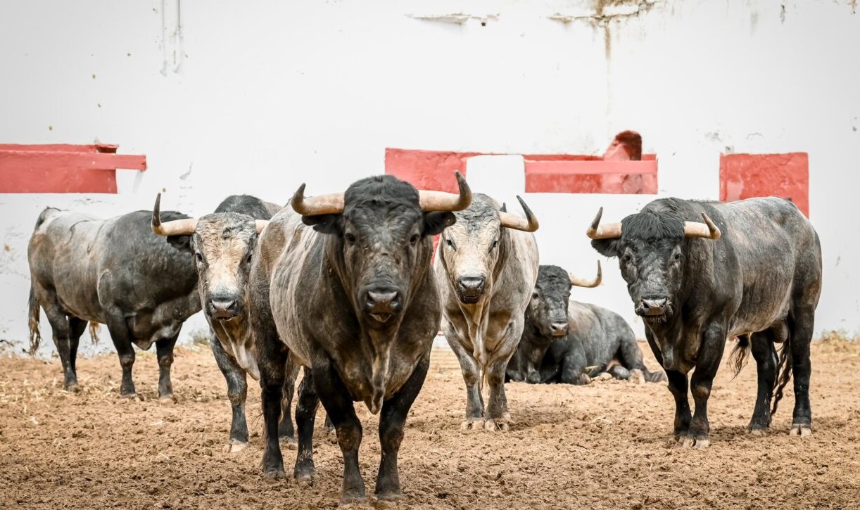 Vendaval, de La Quinta, descorcha la Feria de la Magdalena