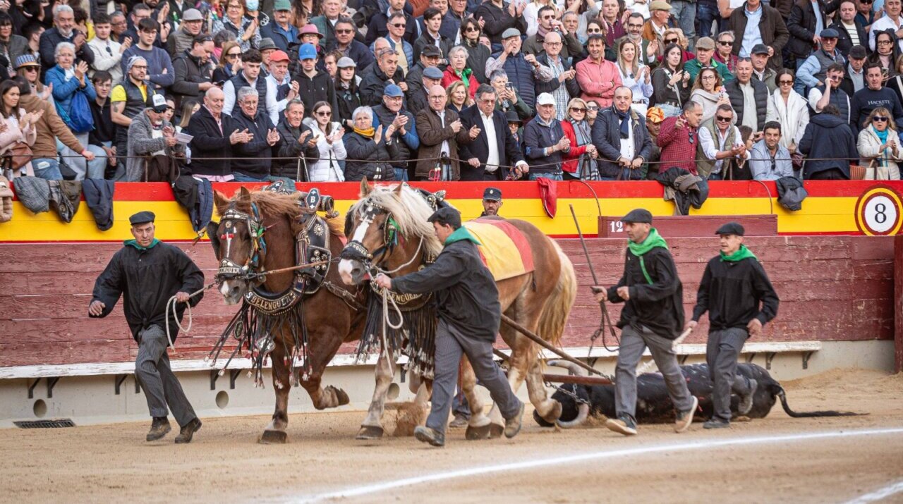 Mando de Luque con el bravo Vistahermosa en Castellón