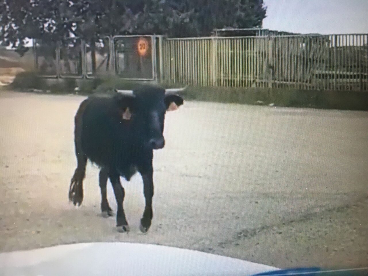 Una anécdota y una sorpresa en Arganda del Rey
