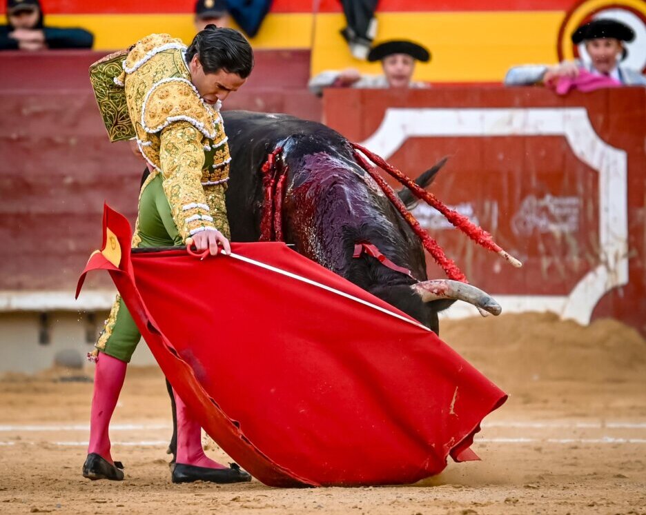 Castellón enloquece con el toreo de Juan Ortega