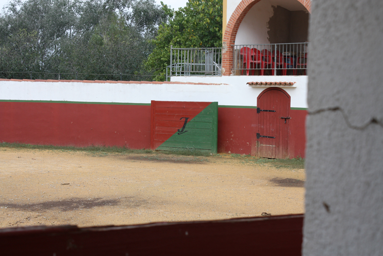 Mesa redonda en Almassora sobre la ganadería brava en Castellón