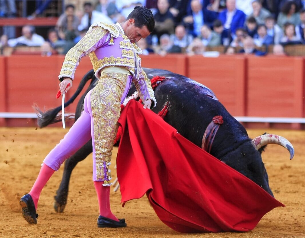 El toreo de David Galván en una notable corrida de Alcurrucén