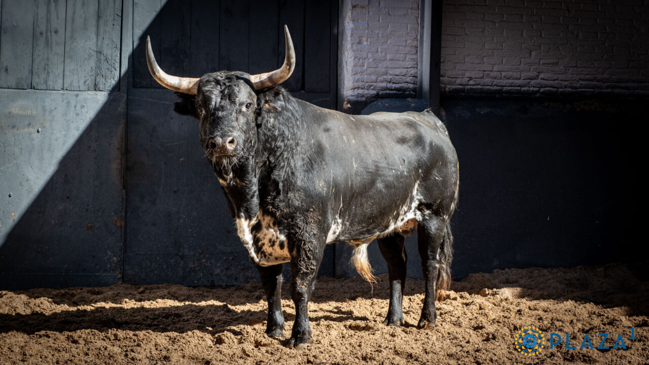 Barberito abre la de Palha por Resurrección Las Ventas