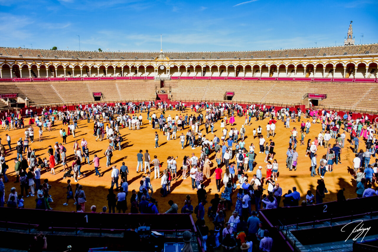 La Real Maestranza celebrará el 25 de abril su jornada de puertas abiertas