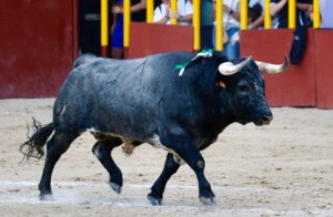 Foto: Iván de Andrés