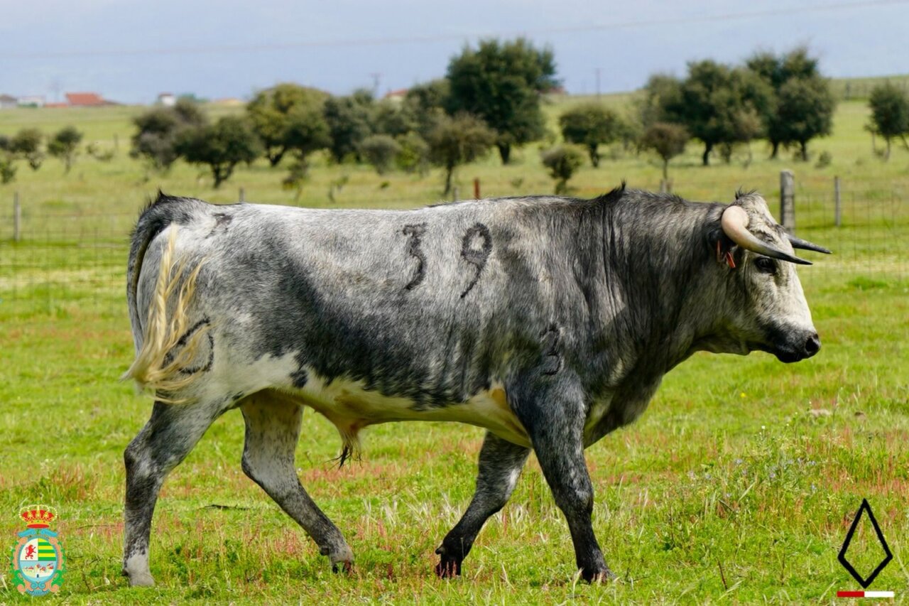 Los de Víctor Huertas y Sagrario Huertas para la tercera novillada del Alfarero de Plata