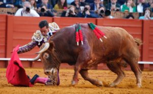 Profesor, embistiendo a la muleta de El Fandi el pasado 30 de abril en Sevilla. Foto: Arjona