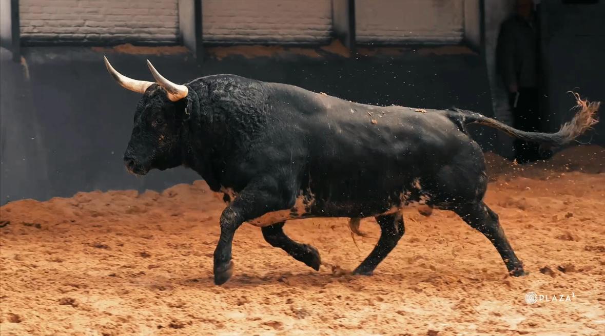 Los toros de Palha para Resurrección ya están en Las Ventas: así ha sido el desembarque