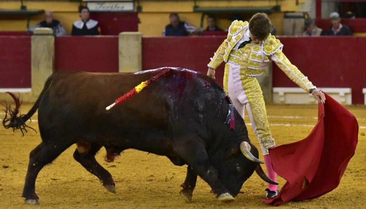 La seda de Zulueta y un novillo de Montealto, entre la mansedumbre en Zaragoza
