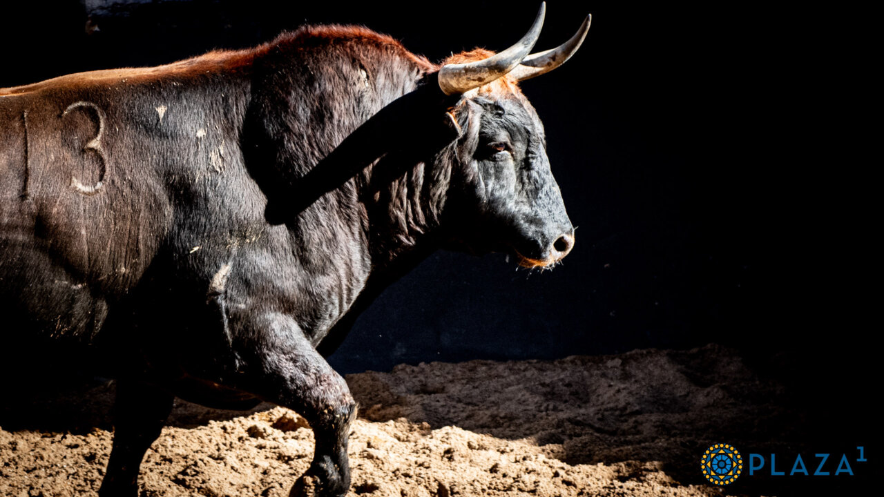 La novillada de la feria de la Comunidad de Madrid y la final del Camino hacia Las Ventas, con ganaderías