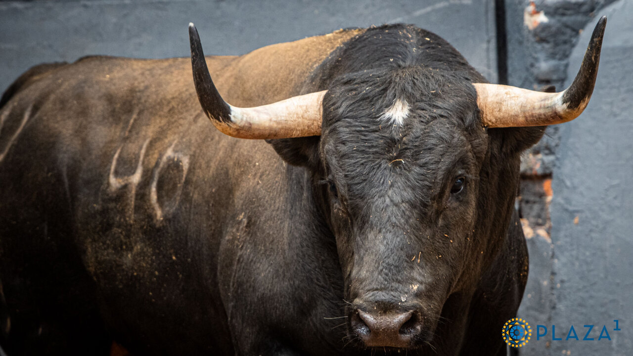 Alejandro Mora confirmará alternativa en Las Ventas con Bilbaíno de Valdellán