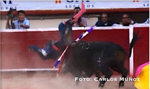 Edgar Camacho, cogido en Aguascalientes I TOROSENELMUNDO