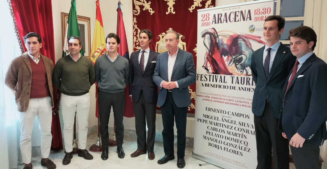Interesante festival en favor de Andex en Aracena