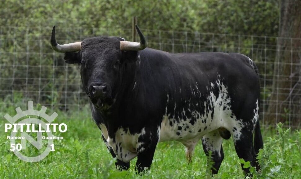 Estos son los de Dolores Aguirre, Cuadri, Prieto de la Cal, Barcial y Alicia Chico para la Feria del Aficionado
