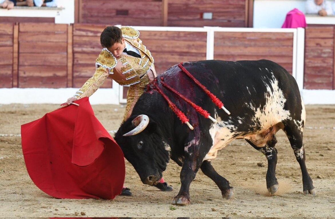 Rubén Pinar, única oreja en San Martín de Valdeiglesias