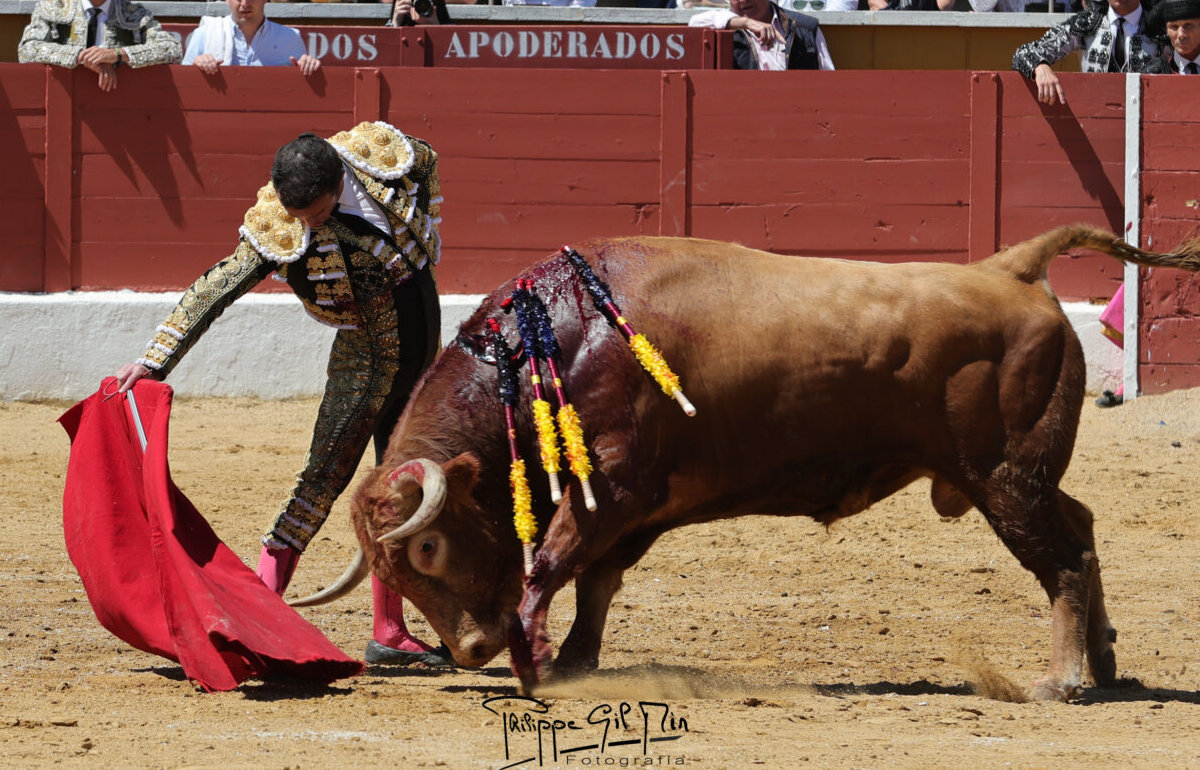 Esfuerzo titánico de Damián Castaño en su gesta en San Agustín del Guadalix
