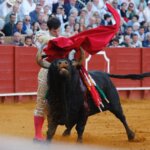 Navalón dio la talla en su debut. APLAUSOS