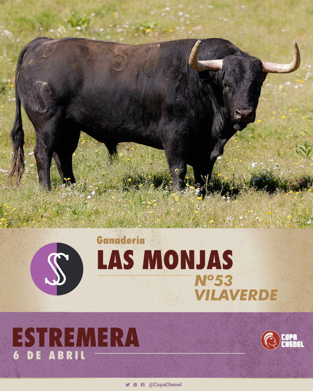 Estos son los toros del debut de Las Monjas y Moreno Pérez-Tabernero en la Copa Chenel