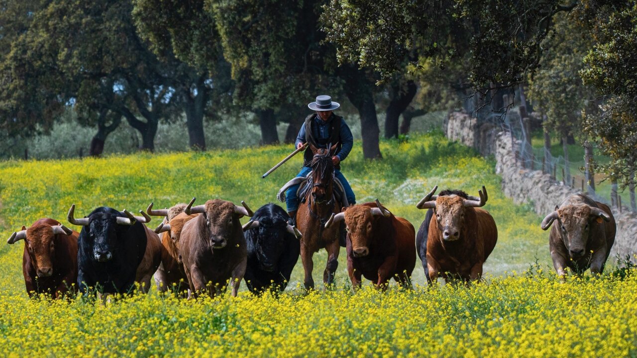 La Real Unión de Criadores de Toros de Lidia cumple 120 años