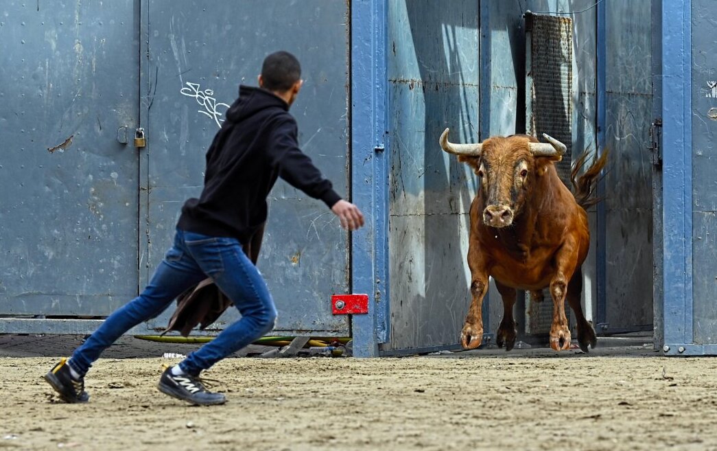 Vuelven las retransmisiones taurinas a À Punt