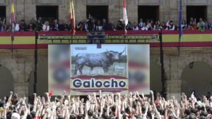 Petición del toro Enmaromado I LA OPINIÓN DE ZAMORA