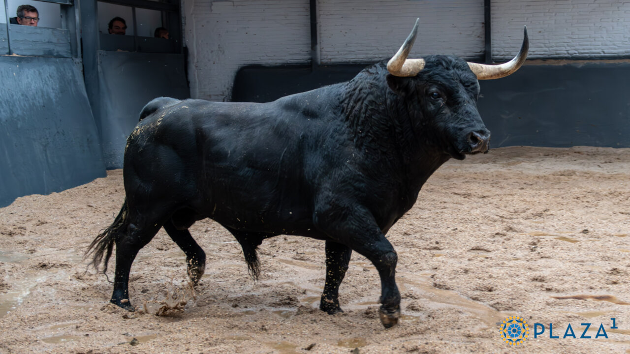 Diego García confirma alternativa con Espejito