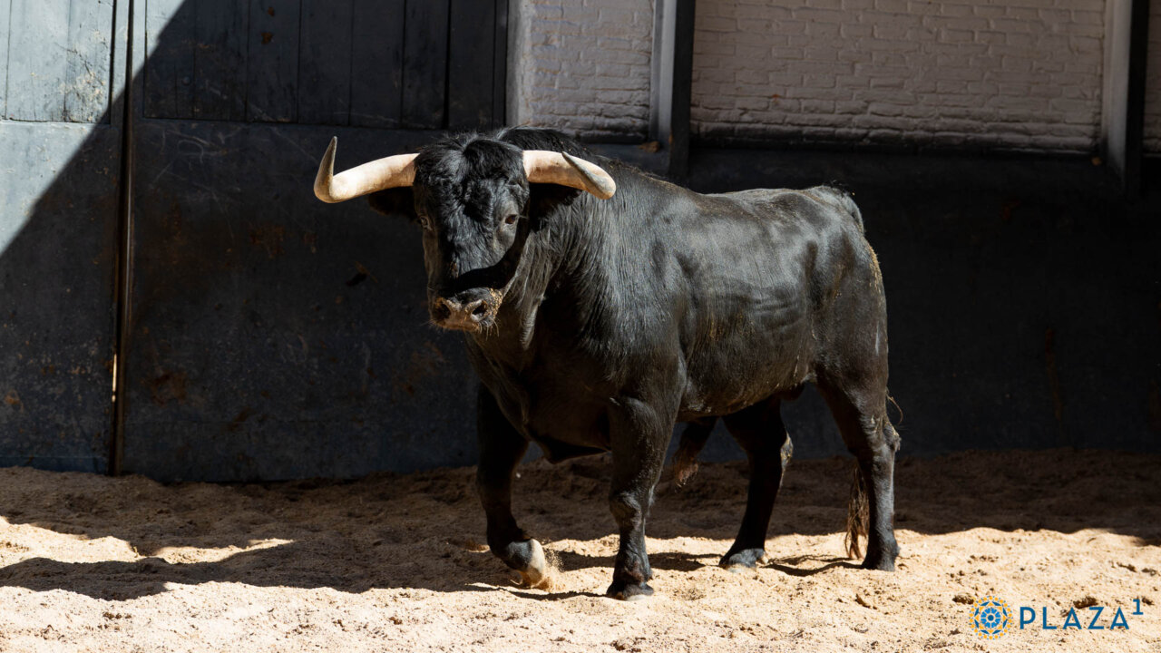 De Encaminado a Alabardero, los seis victorianos para el sexto No Hay Billetes en Madrid