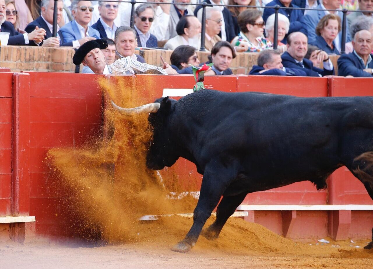 ¡Qué gozo ver toros en Sevilla!