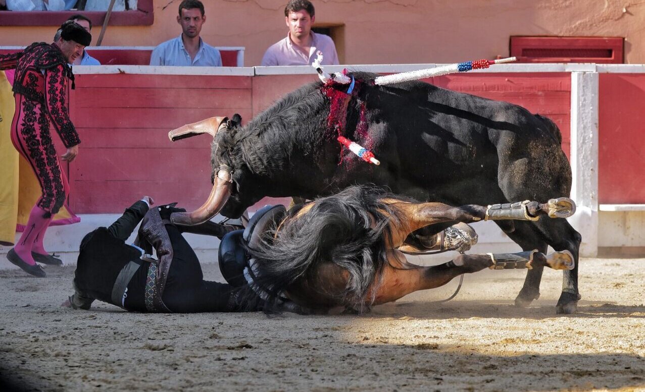 Diego Ventura, fractura de cuatro metatarsianos del pie izquierdo tras ser volteado en Montijo