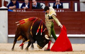 Extraordinario el natural de Rufo a Alabardero. Foto: Iván de Andrés