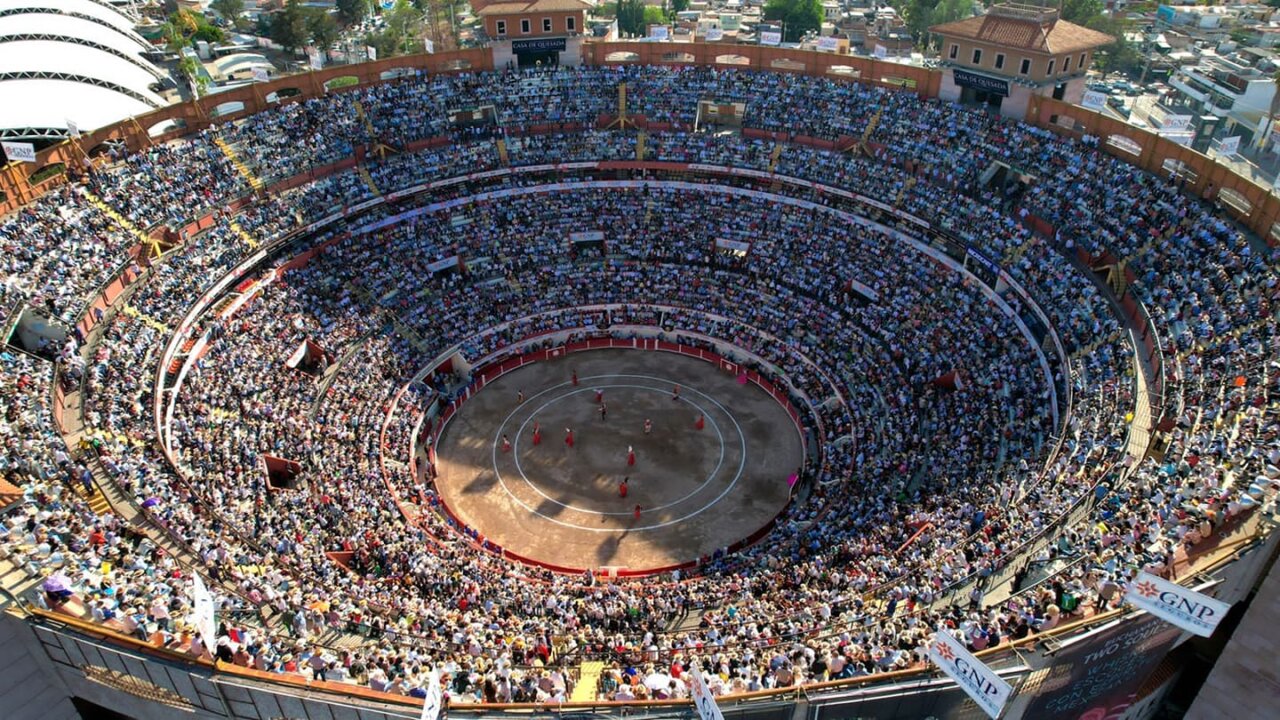 Telemadrid lleva la Feria de San Isidro a los aficionados mexicanos